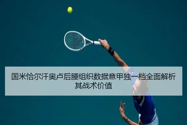 国米恰尔汗奥卢后腰组织数据意甲独一档全面解析其战术价值
