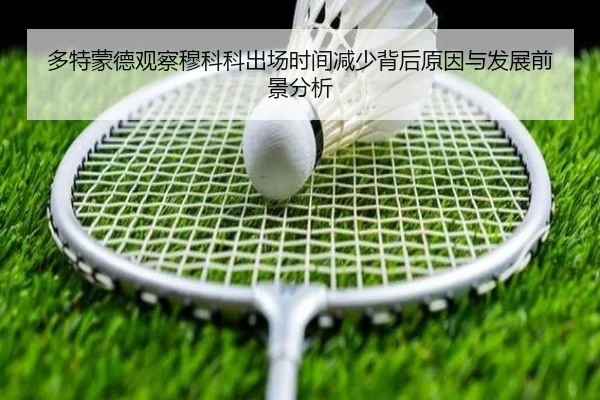 多特蒙德观察穆科科出场时间减少背后原因与发展前景分析